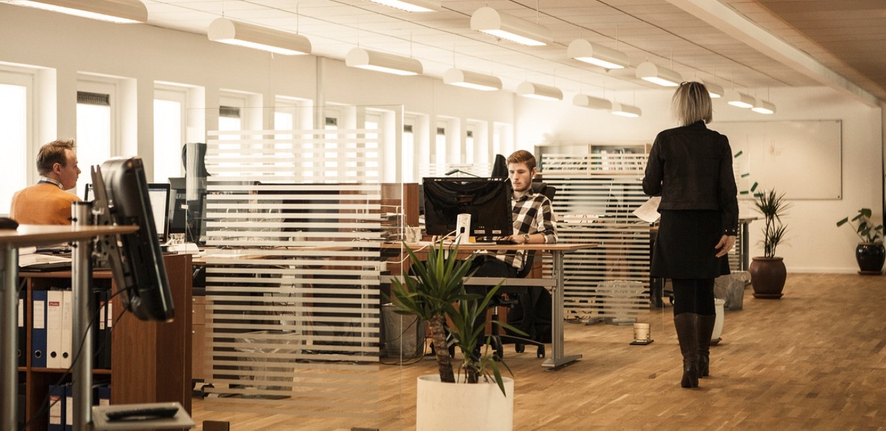 Imagen de louisehoffmann83 en Pixabay