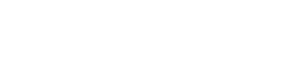 Logo white